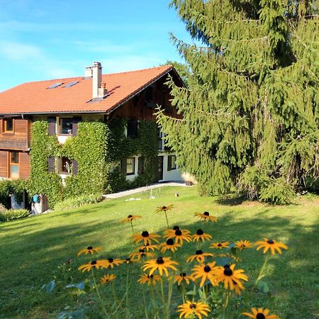 Domaine De L'Olifant Bed & Breakfast Champanges Dış mekan fotoğraf