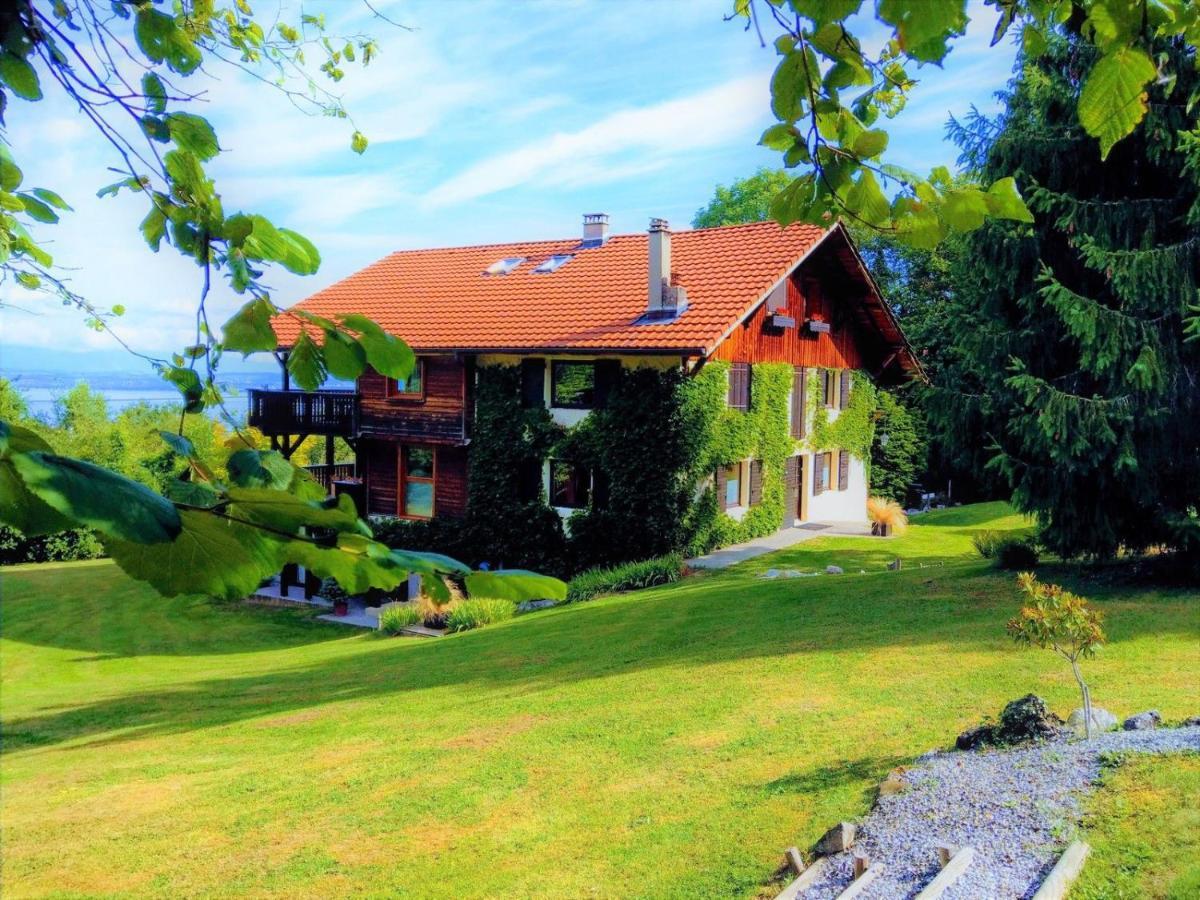 Domaine De L'Olifant Bed & Breakfast Champanges Dış mekan fotoğraf