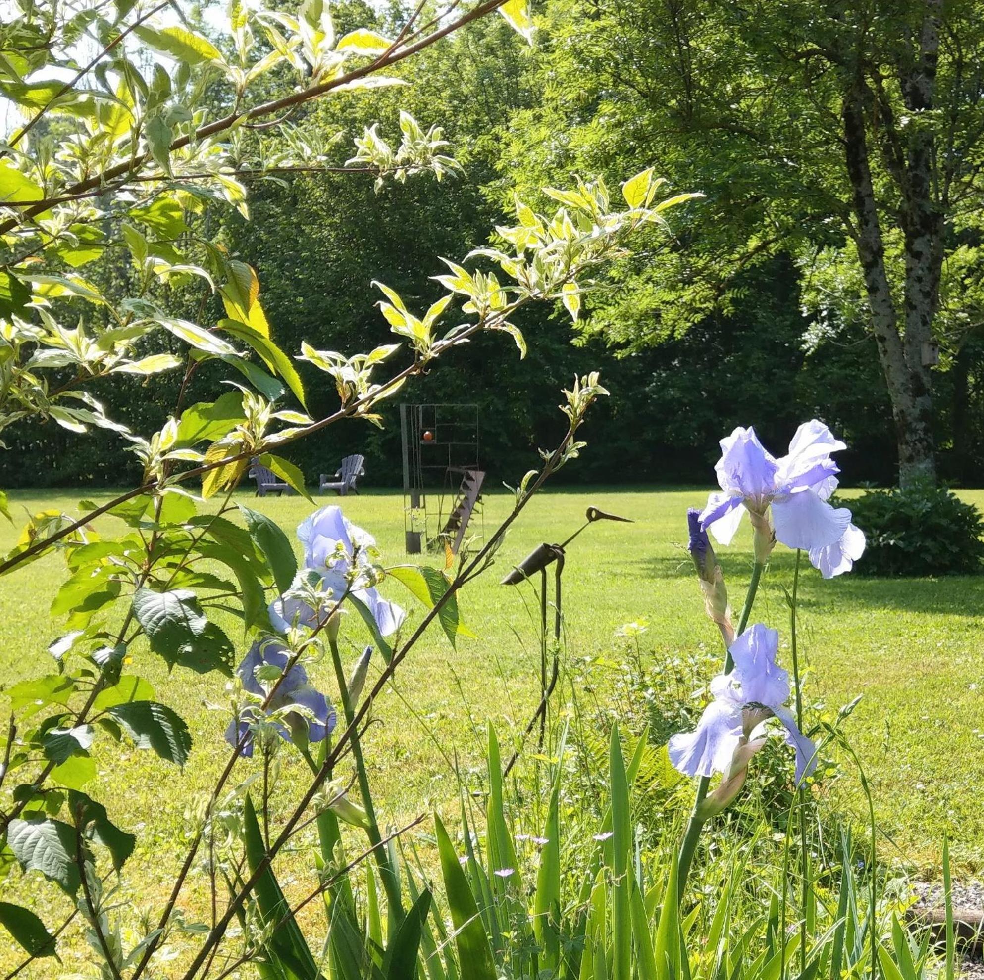 Domaine De L'Olifant Bed & Breakfast Champanges Dış mekan fotoğraf