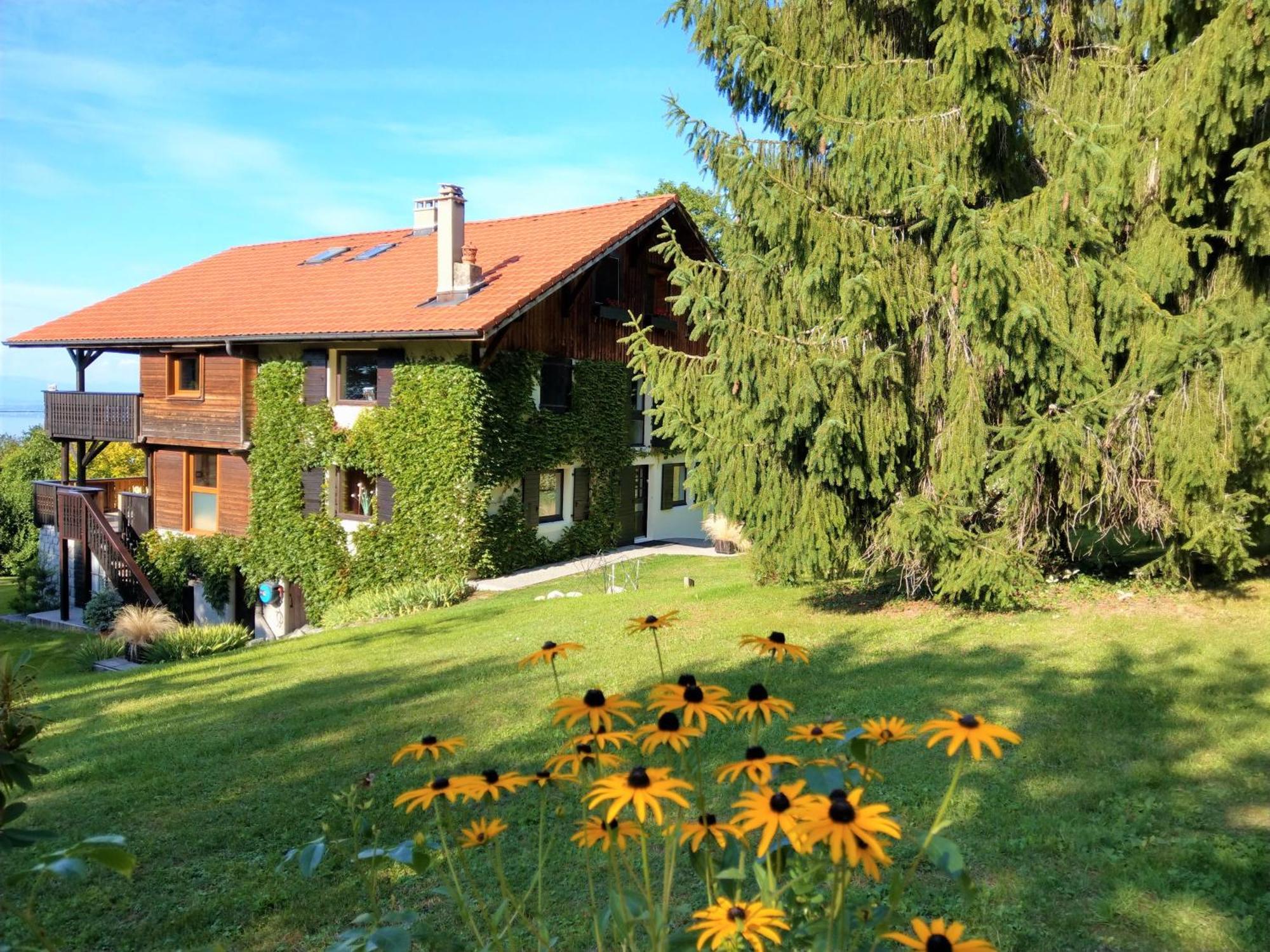 Domaine De L'Olifant Bed & Breakfast Champanges Dış mekan fotoğraf