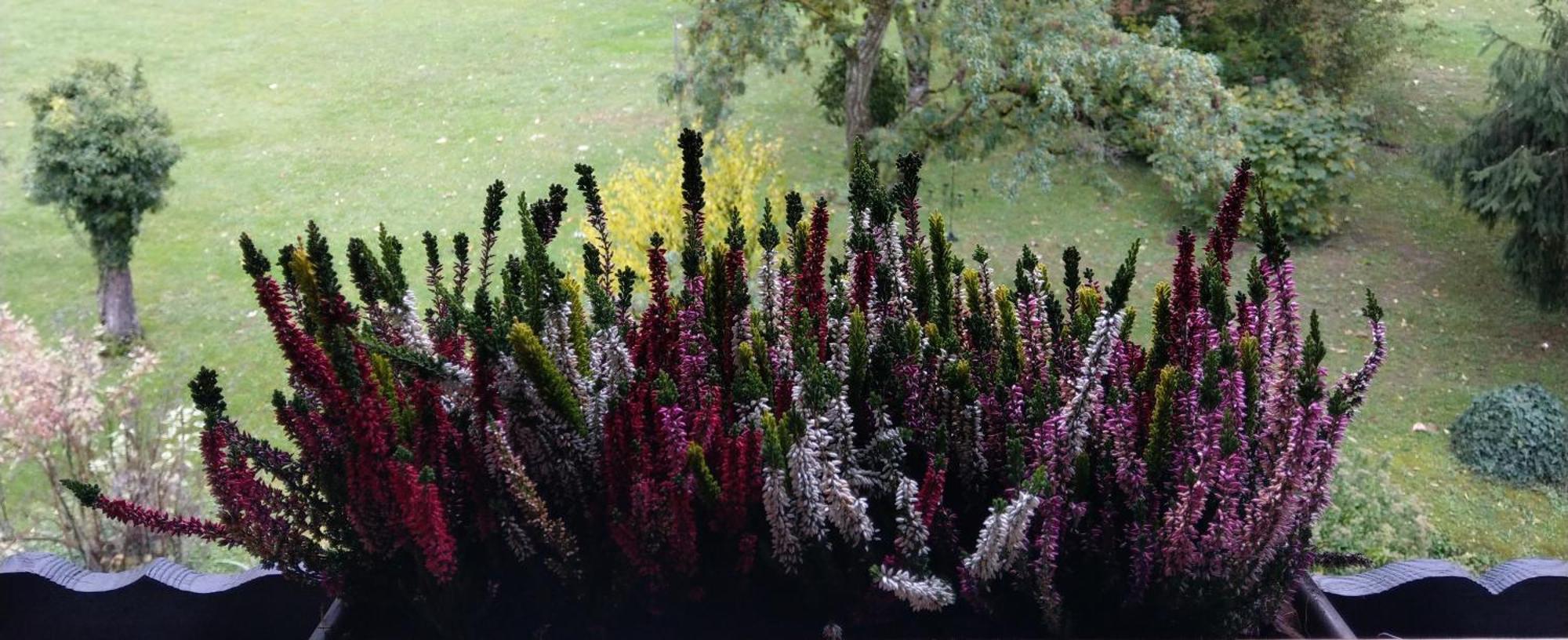 Domaine De L'Olifant Bed & Breakfast Champanges Dış mekan fotoğraf