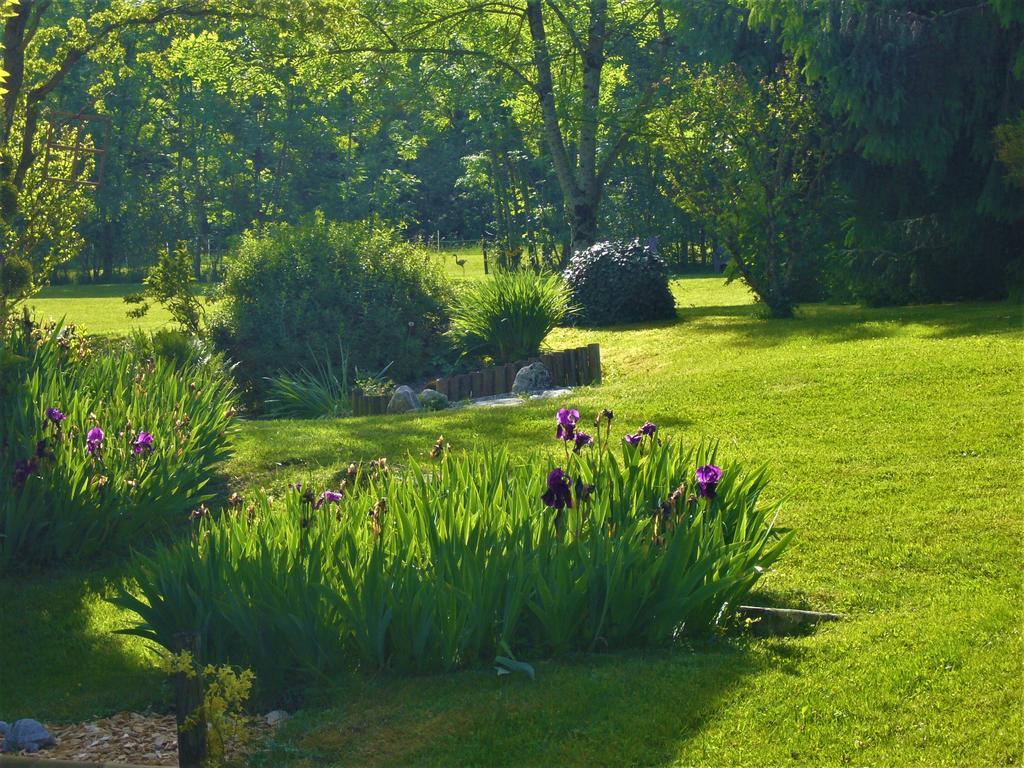 Domaine De L'Olifant Bed & Breakfast Champanges Dış mekan fotoğraf